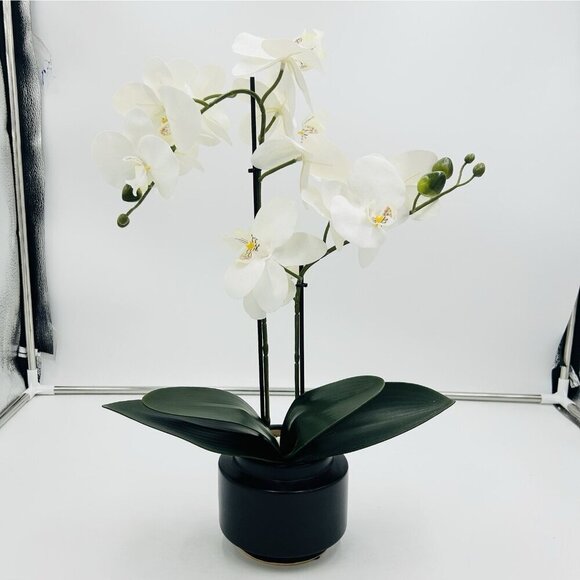 Unbranded Other - White Phalaenopsis 19" Orchid Artificial Flowers with Black Vase Arrangement